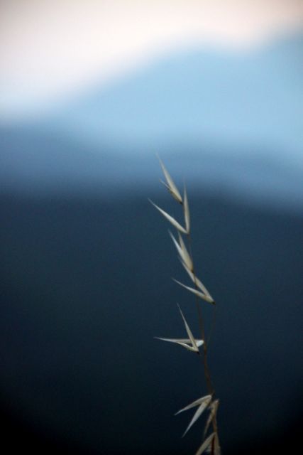 2010 07 08 jeanmarcperfetti.com 008.JPG